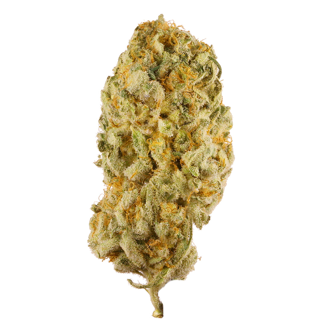 INDOOR- MEXA 1/2 OZ