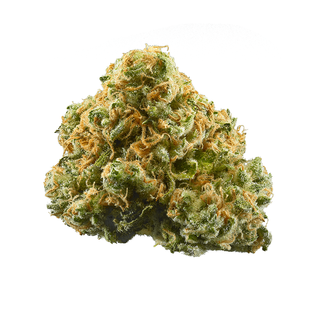 OUT-DOOR 1 OZ